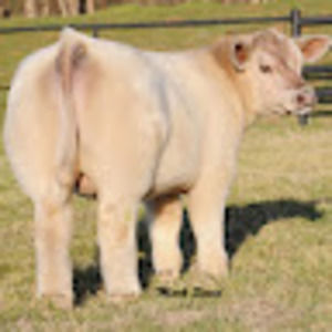 Meet your Posher, Riley